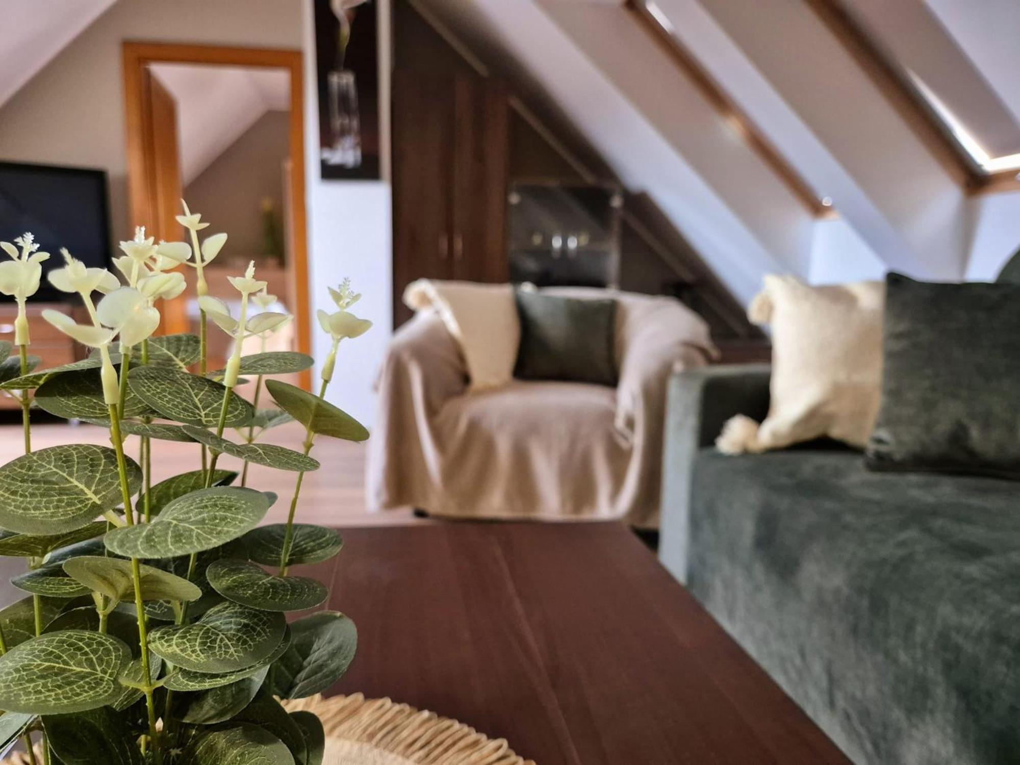 B&B Penzion Magura Bardejov Esterno foto
